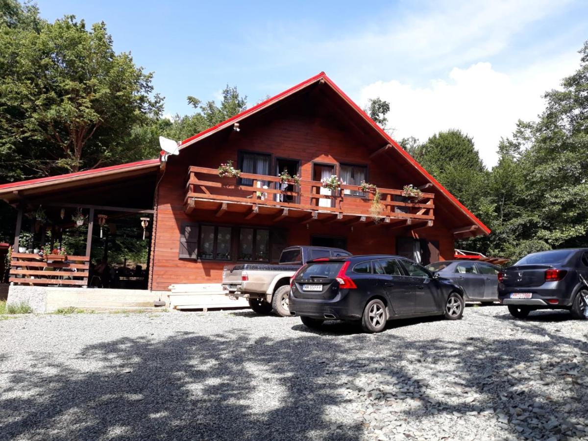 Cabana Alpha Baia Mare Exterior foto