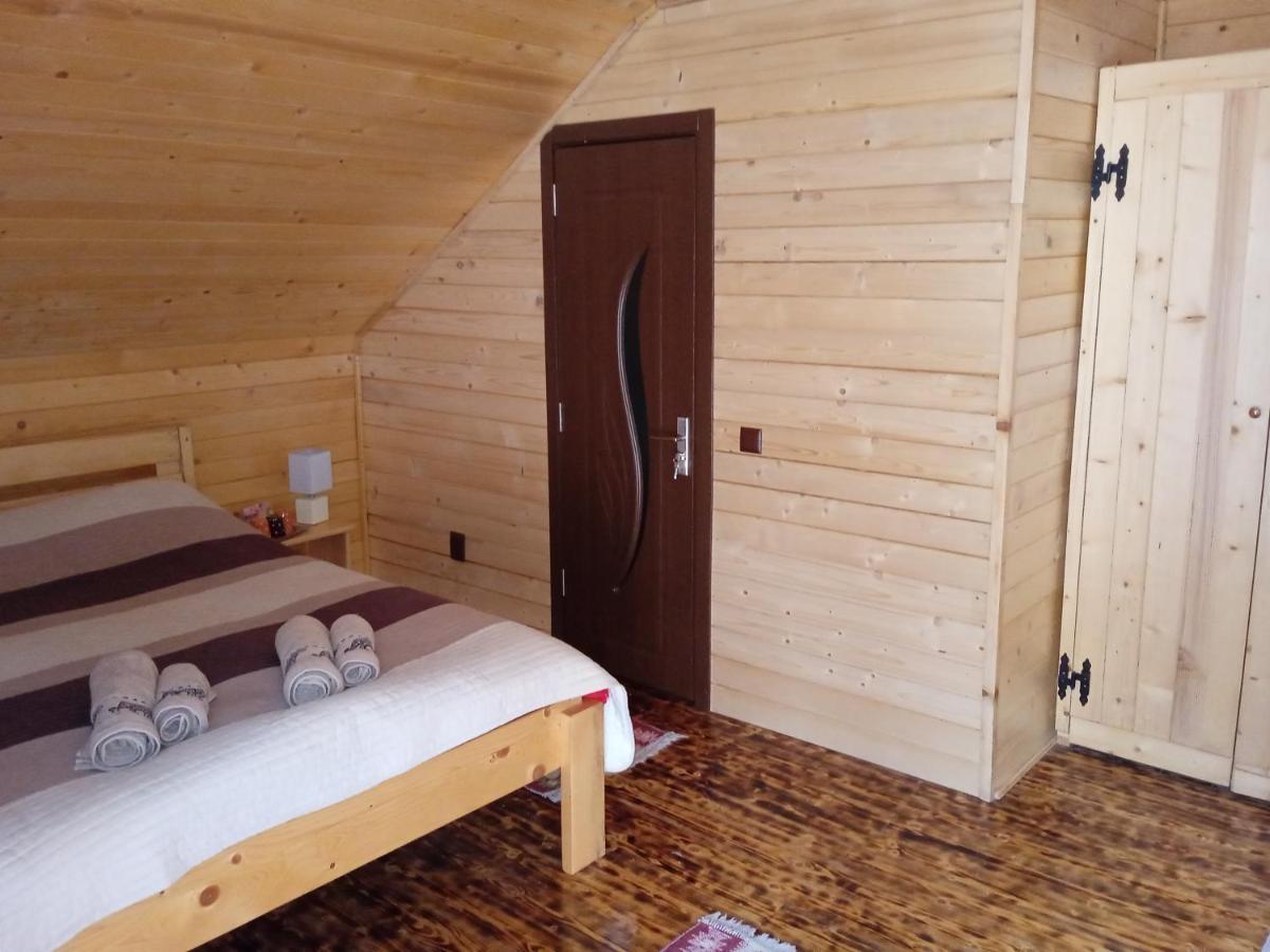 Cabana Alpha Baia Mare Exterior foto