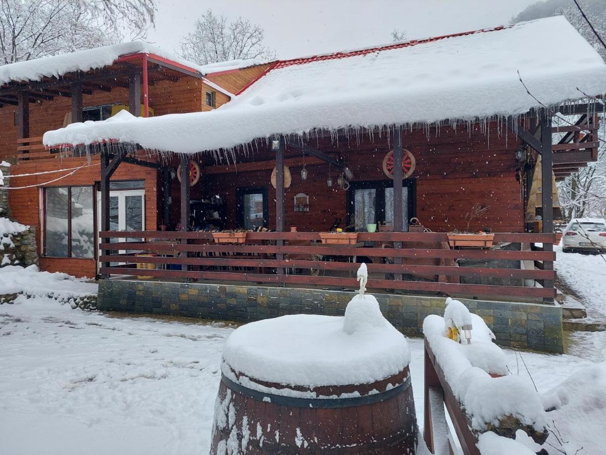 Cabana Alpha Baia Mare Exterior foto
