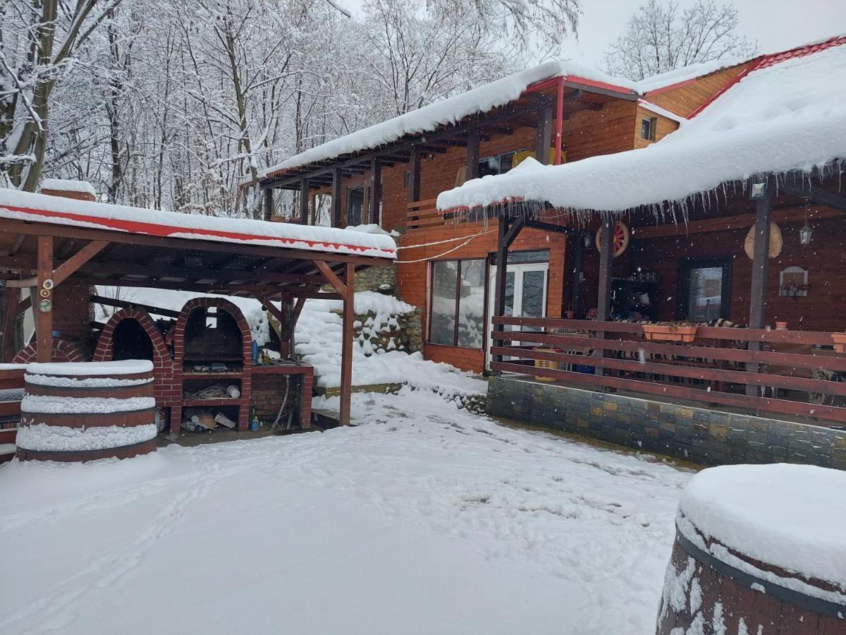 Cabana Alpha Baia Mare Exterior foto