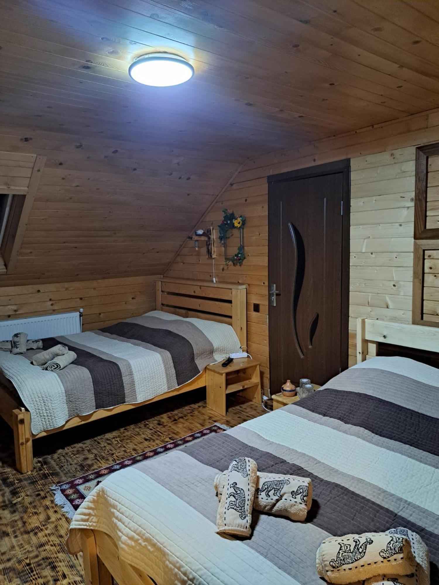 Cabana Alpha Baia Mare Exterior foto